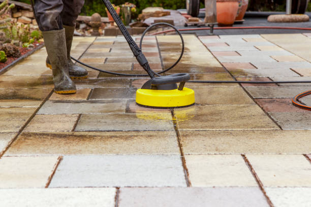 Best Pre-Holiday Cleaning  in Raymond, IL