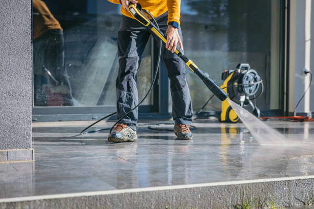 Best Driveway Pressure Washing  in Raymond, IL